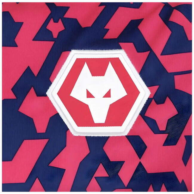 2024-2025 Wolves Pre Match T-Shirt - Blue/Pink
