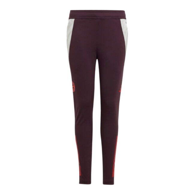 Latest Bayern Munich Jersey 2024-2025