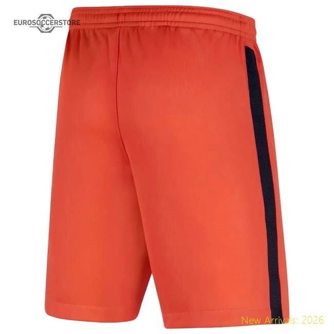 Official European Team 2026-2027 Away Short Sleeve Shirt