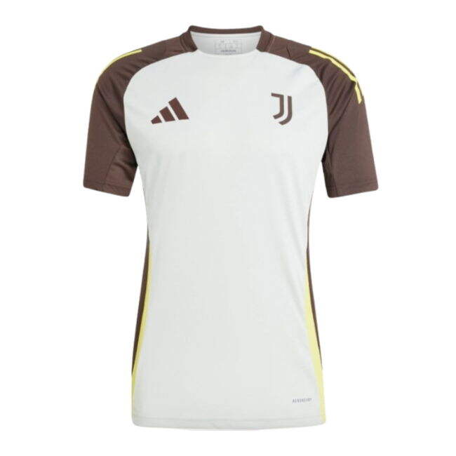 2024-2025 Juventus EU Training Jersey (Silver)