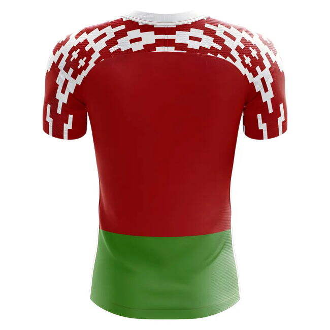 Authentic 2025-2026 Belarus Home Kit Quality Professional