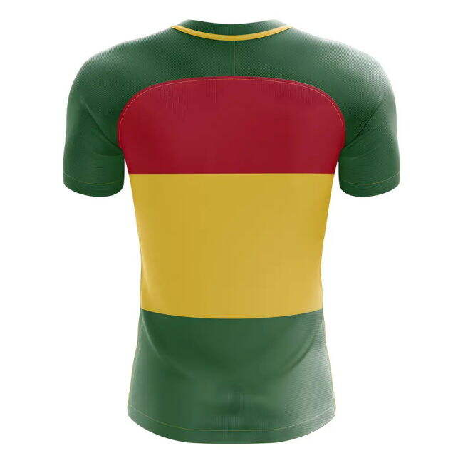 2025-2026 Ghana Flag Concept Football Shirt - Womens