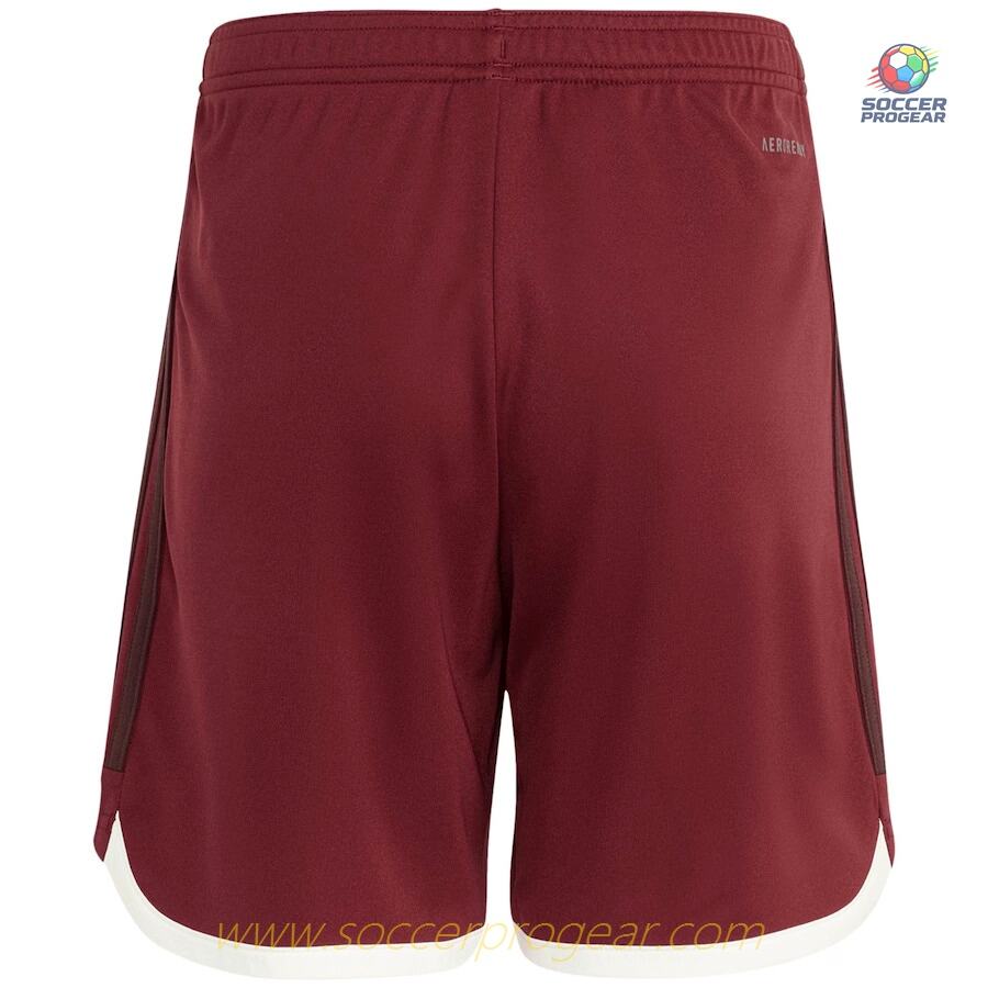 Bayern Munich 2023 2024 Third Shorts