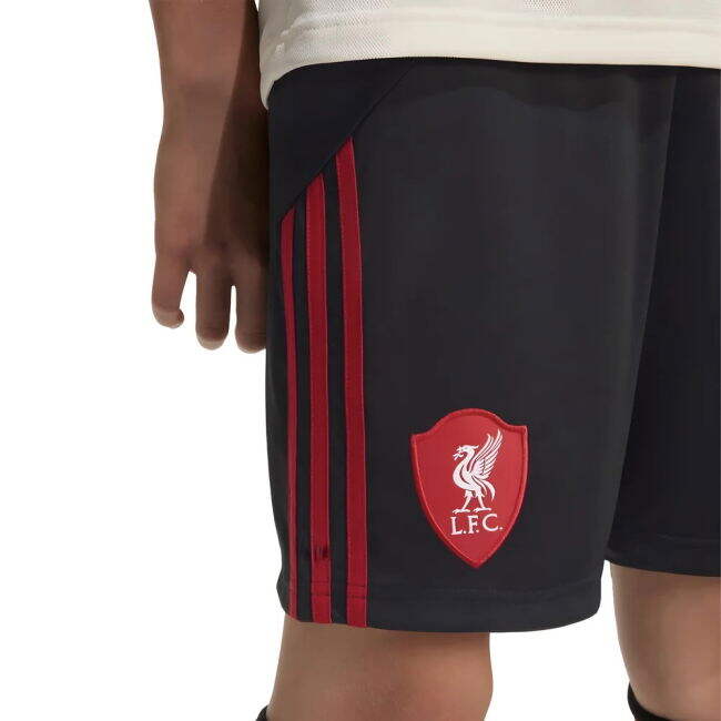 Liverpool Special Edition Away Jersey 2025-2026