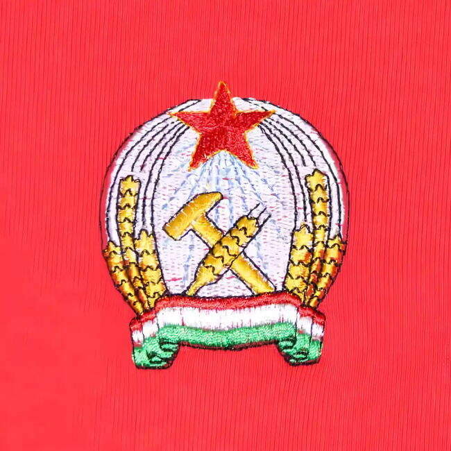 Hungary 1954 Hungary Soccer Team Exclusive Design Home Rare Jersey