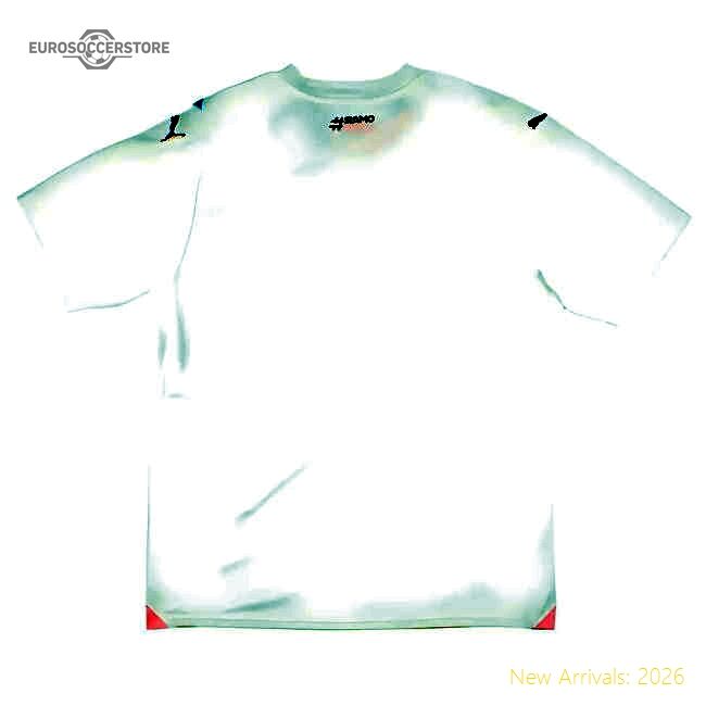 Authentic High-Quality 2023-2024 Palermo Third Shirt