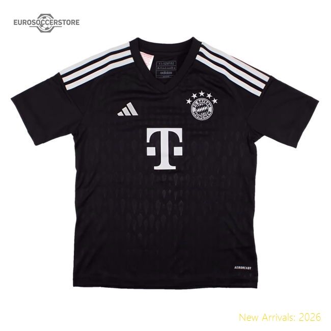 First-class 2023-2024 Bayern Munich Goalkeeper Shirt (black)