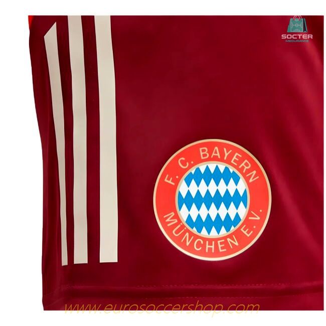 2024-2025 Bayern Munich EU Training Shorts (Shadow Red)