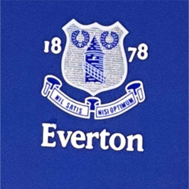 2023-21 Everton Home Football Shirt Everton Name Number M S