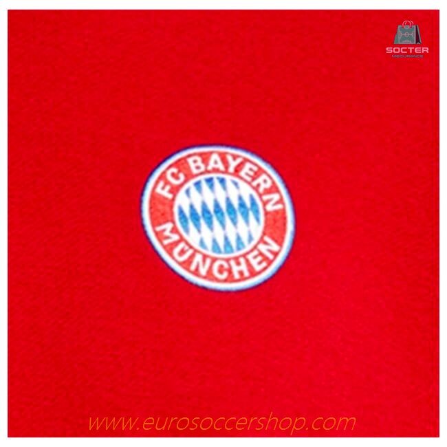2024-2025 Bayern Munich DNA Sweat Top (Red)