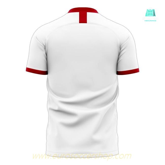 Hansa Rostock 2025-2026 Away Concept Football Kit (Libero)