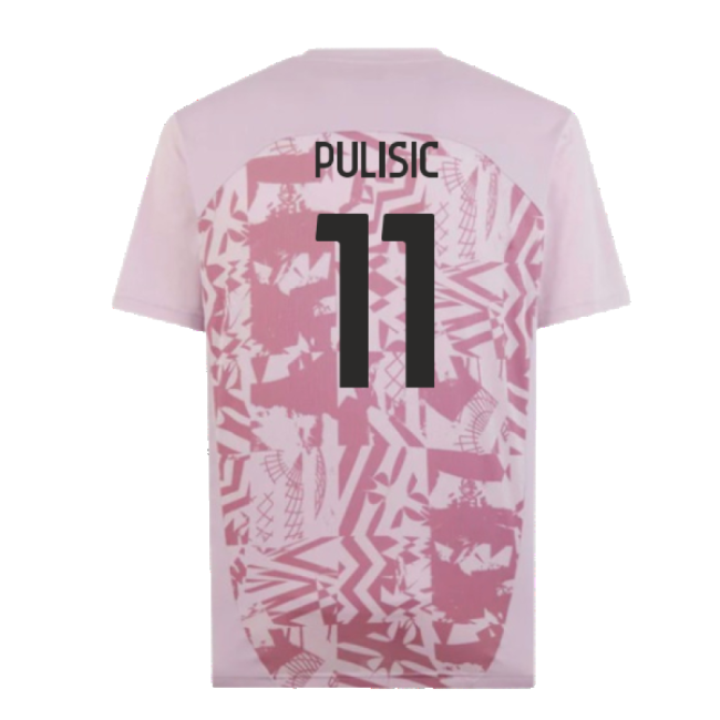 Pro Series Acm Pulisic #11 Fresh Look Fan Gear Football Kit Champio...