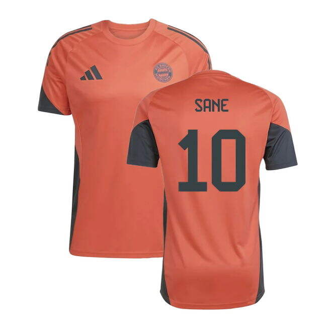 Sane 10 Rare Bayern Munich Training Unique Shirt 2025-2026
