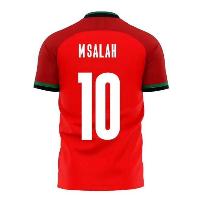 Egypt 2025-2026 Home Concept Football Kit (Libero) (M.SALAH 10)