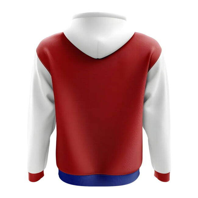 Hoodies Performance Jersey Mordovia