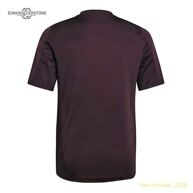 Excellent 2024-2025 Bayern Munich Training Shirt (shadow Maroon)