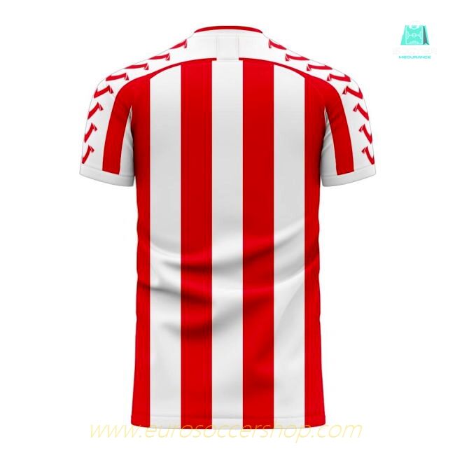 Stoke 2025-2026 Home Concept Football Kit (Viper)