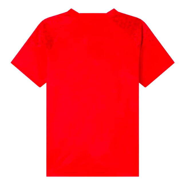 Replica Quality AC Milan Training Fan Shirt (Kids) (Rafa Leao 10)