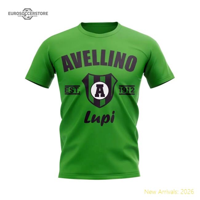 Supporter Avellino Established Football T-Shirt (Green)