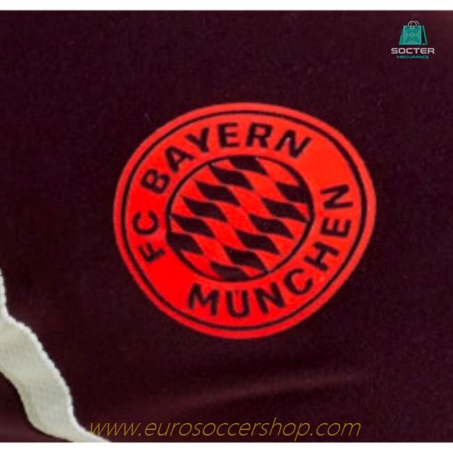 2024-2025 Bayern Munich Training Pants (Shadow Maroon) - Kids