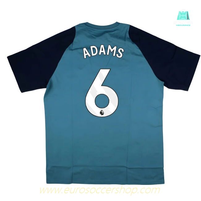 2025-2026 Arsenal Training Tee (Blanch Blue) (Adams 6)
