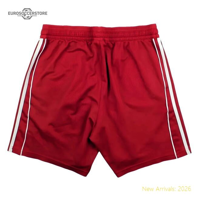 Outstanding Bayern Munich 2005-06 Shorts (l) (excellent)