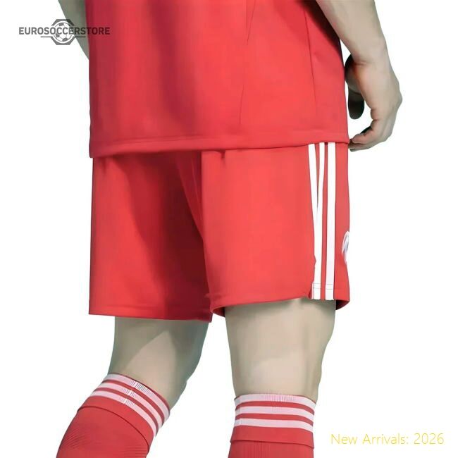 Luxury 2025-2026 Bayern Munich Third Goalkeeper Shorts (pure Ruby)