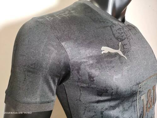 Authentic Camiseta - Continental Championship - Team Pride