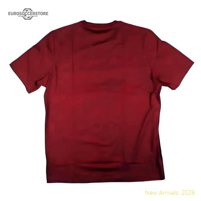 Authentic 2024-2025 Man Utd Dna Graphic Tee (red) (ronaldo 7)