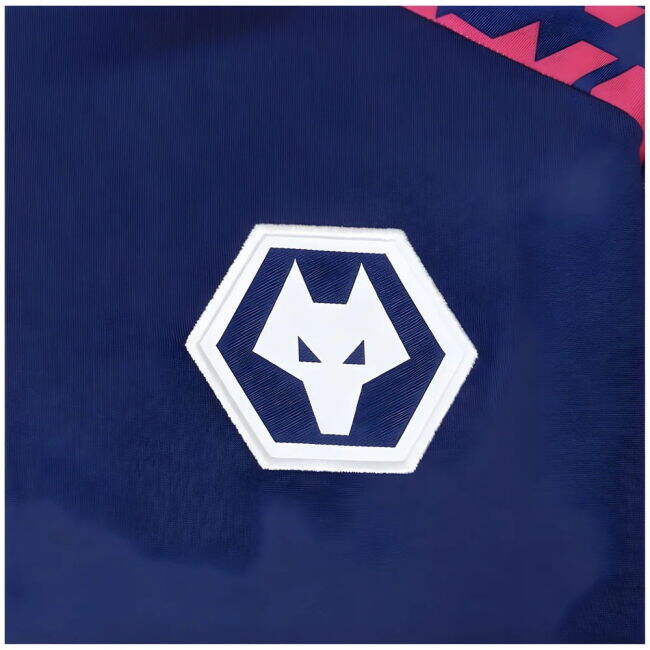 2024-2025 Wolves Pre Match 1/4 Zip Top (Blue/Pink)
