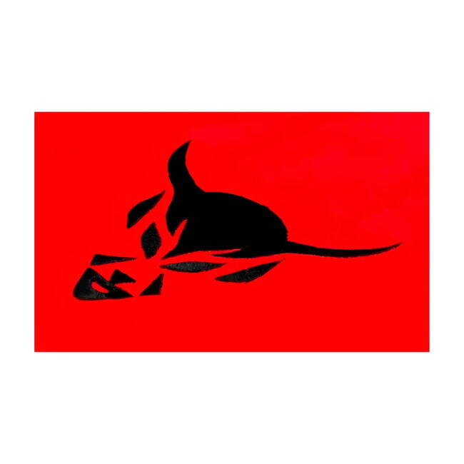 Updated Belgium Home Match Shirt 2025-2026