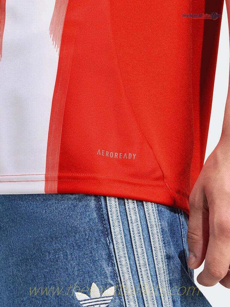 Fan Edition Bayern Munich Home Soccer Football Shirt 2025-26 Edition