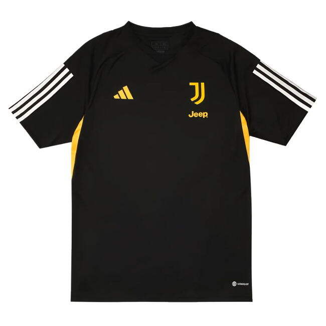 Professional Juventus 2023-2024 Training Kit
