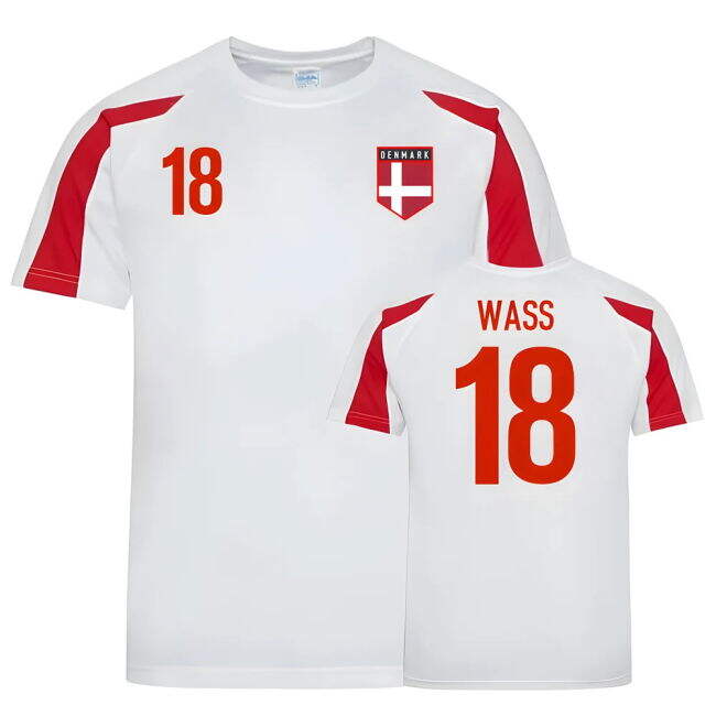 Denmark Limited Training Unique Shirt (1)