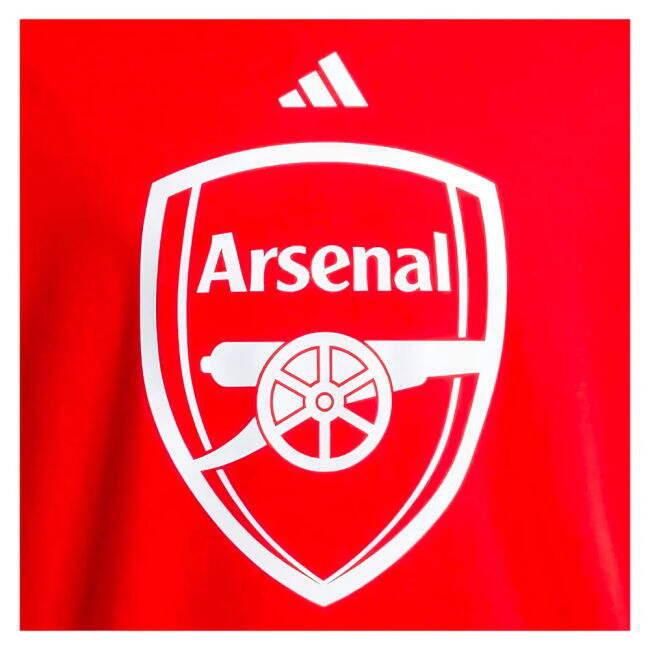 2024-2025 Arsenal DNA Graphic T-Shirt for (Adult