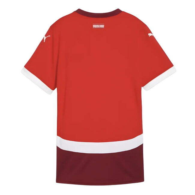 Switzerland National Team Supporter Shirt - Adults Version