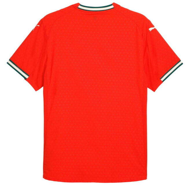 Genuine Copy Portugal Home Replica Jersey for Adults (1)