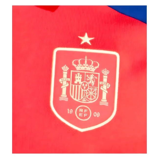 Professional Style Spain Home Player Jersey 2024-2025 (1)