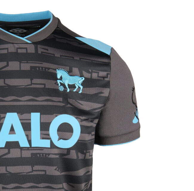 soccer jersey 2025-2026 Ipswich Town Third Shirt (Womens)