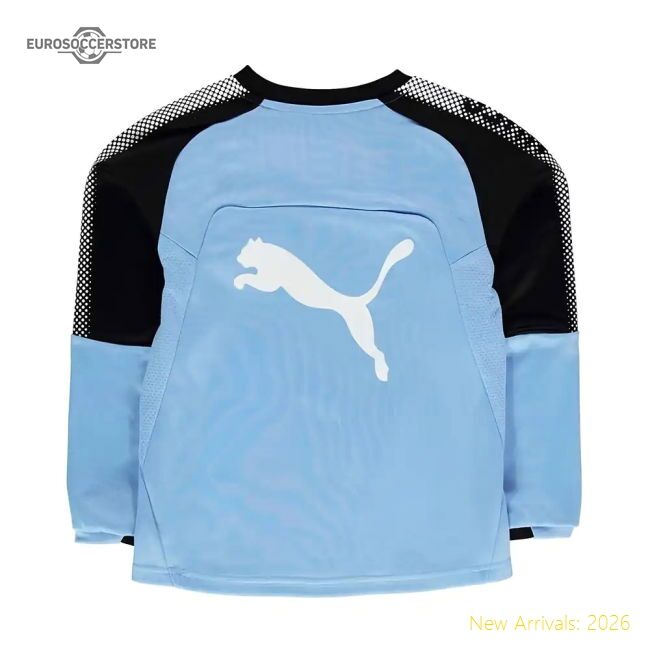 Official 2017-2018 Newcastle Puma Sweat Top (blue) - Kids - Premium