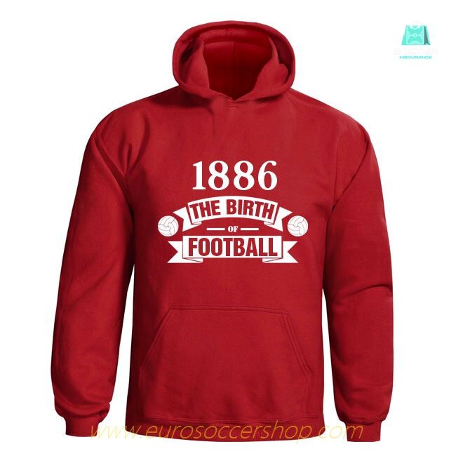 Arsenal Birth Of Football Hoody (red)