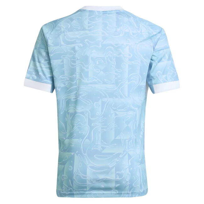 JUV 2025-2026 Away - genuine elegant football kit v2.314