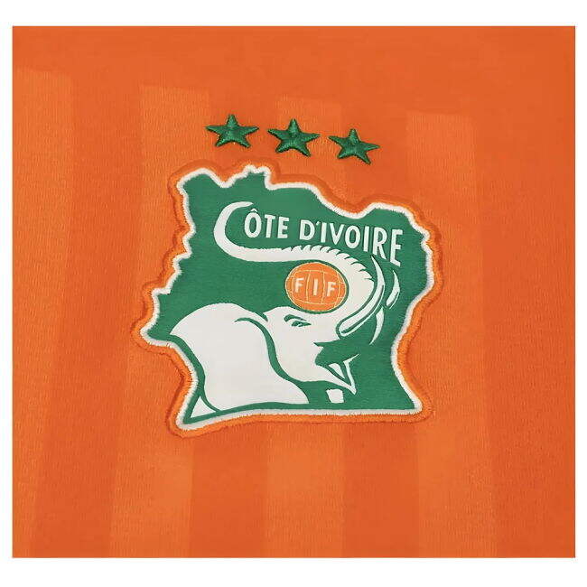 Match Replica Ivory Coast Home Replica Jersey (Adults) (1)