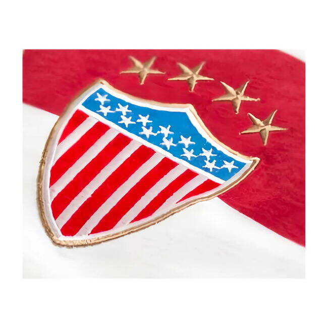 Womens USA Soccer Team Sophisticated Home Team Kit