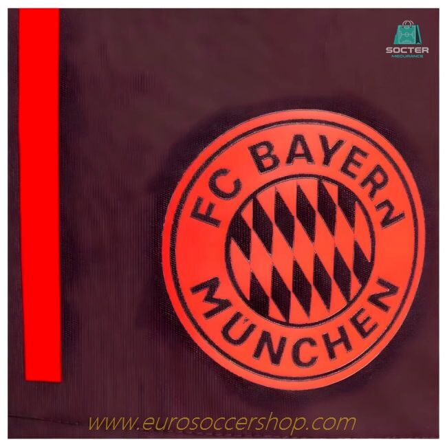 2024-2025 Bayern Munich Training Shorts (Shadow Maroon)