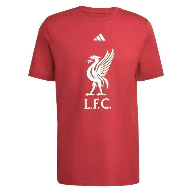 Liverpool Premium Quality Passionate 2024-2025 Season Fan Jersey