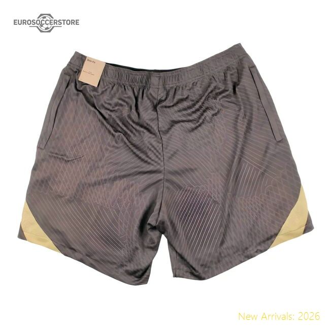 Official 2023-2024 Tottenham Strike Training Shorts (ironstone)