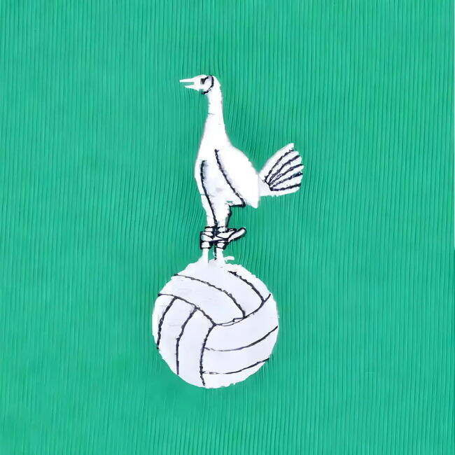 Official Licensed Spurs Modern Style Die-hard Football Kit