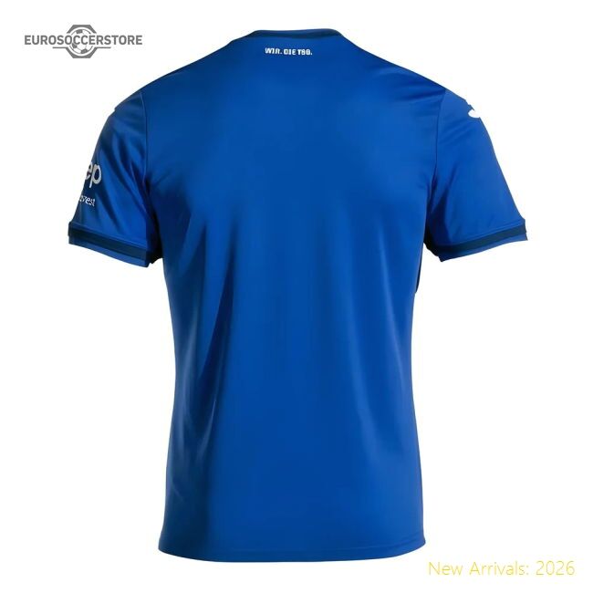 Premium Fan-Favorite 2024-2025 Hoffenheim Home Shirt