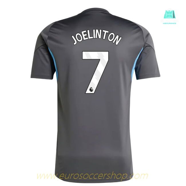2025-2026 Newcastle Training Shirt (Grey) (Joelinton 7)